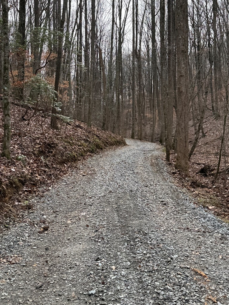 Lot 109 Folkstone Road Jasper, GA 30143 - Photo 6 of 11