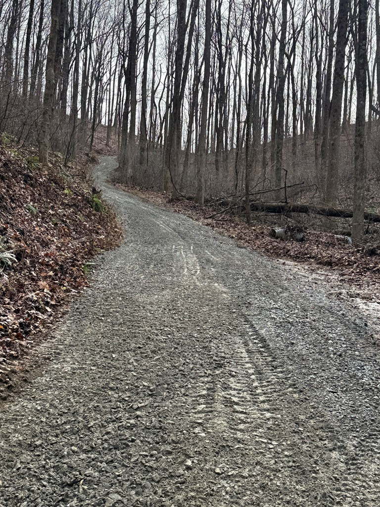 Lot 109 Folkstone Road Jasper, GA 30143 - Photo 9 of 11