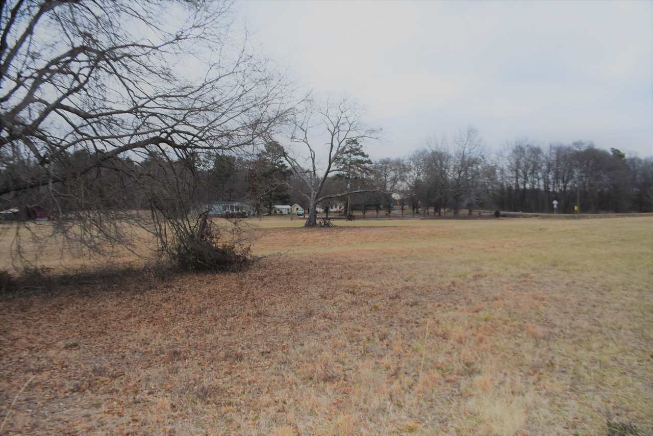 3516 West Georgia Road Piedmont, SC 29673 - Photo 3 of 19