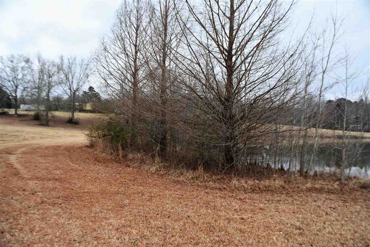 3516 West Georgia Road Piedmont, SC 29673 - Photo 5 of 19