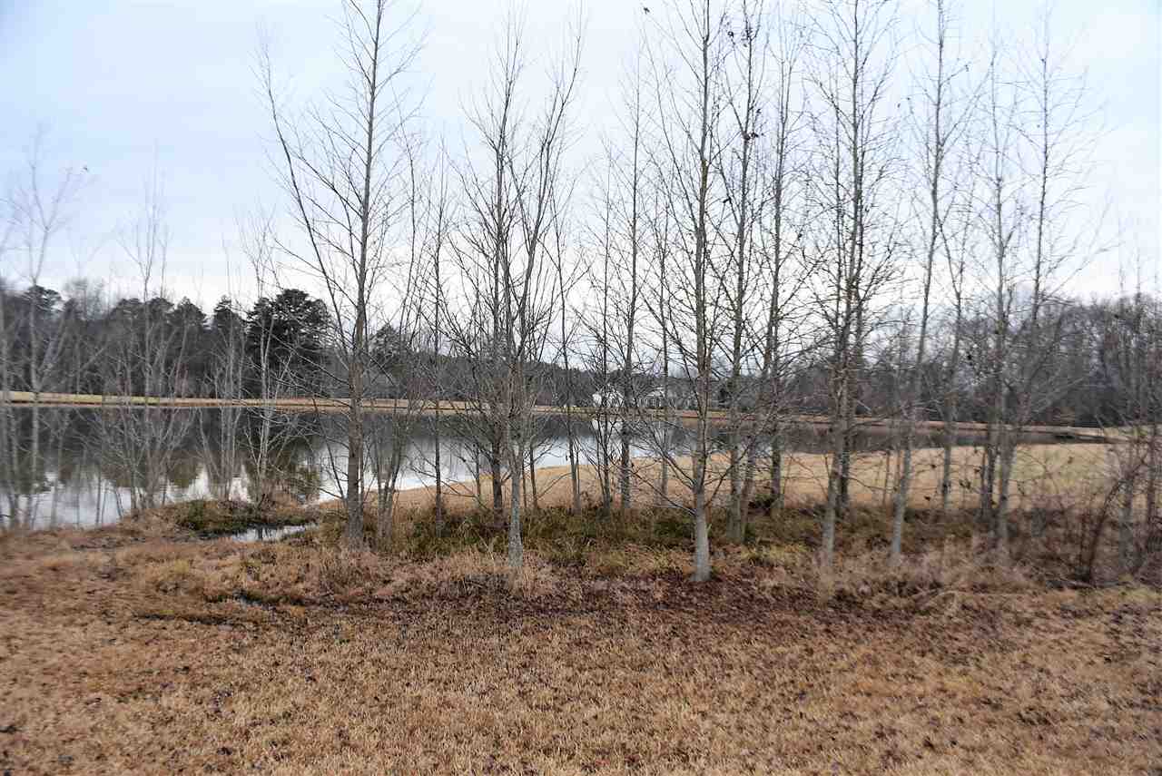 3516 West Georgia Road Piedmont, SC 29673 - Photo 7 of 19