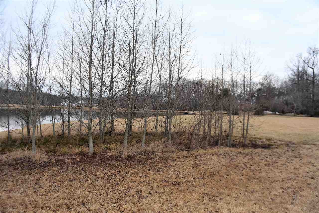 3516 West Georgia Road Piedmont, SC 29673 - Photo 8 of 19