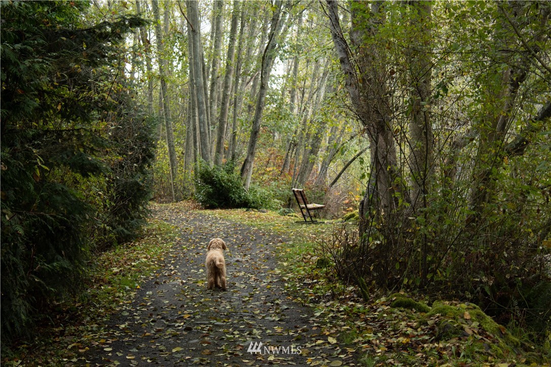 182 North Ridge View Drive Port Angeles, WA 98362 - Photo 11 of 16 Gallery Image 11