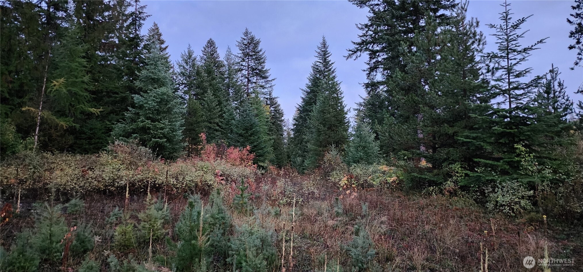 2518 Bodie Mountain Road Colville, WA 99114 - Photo 33 of 40