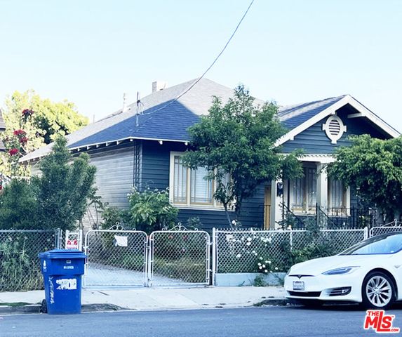 a flower lots of flowers and flowers