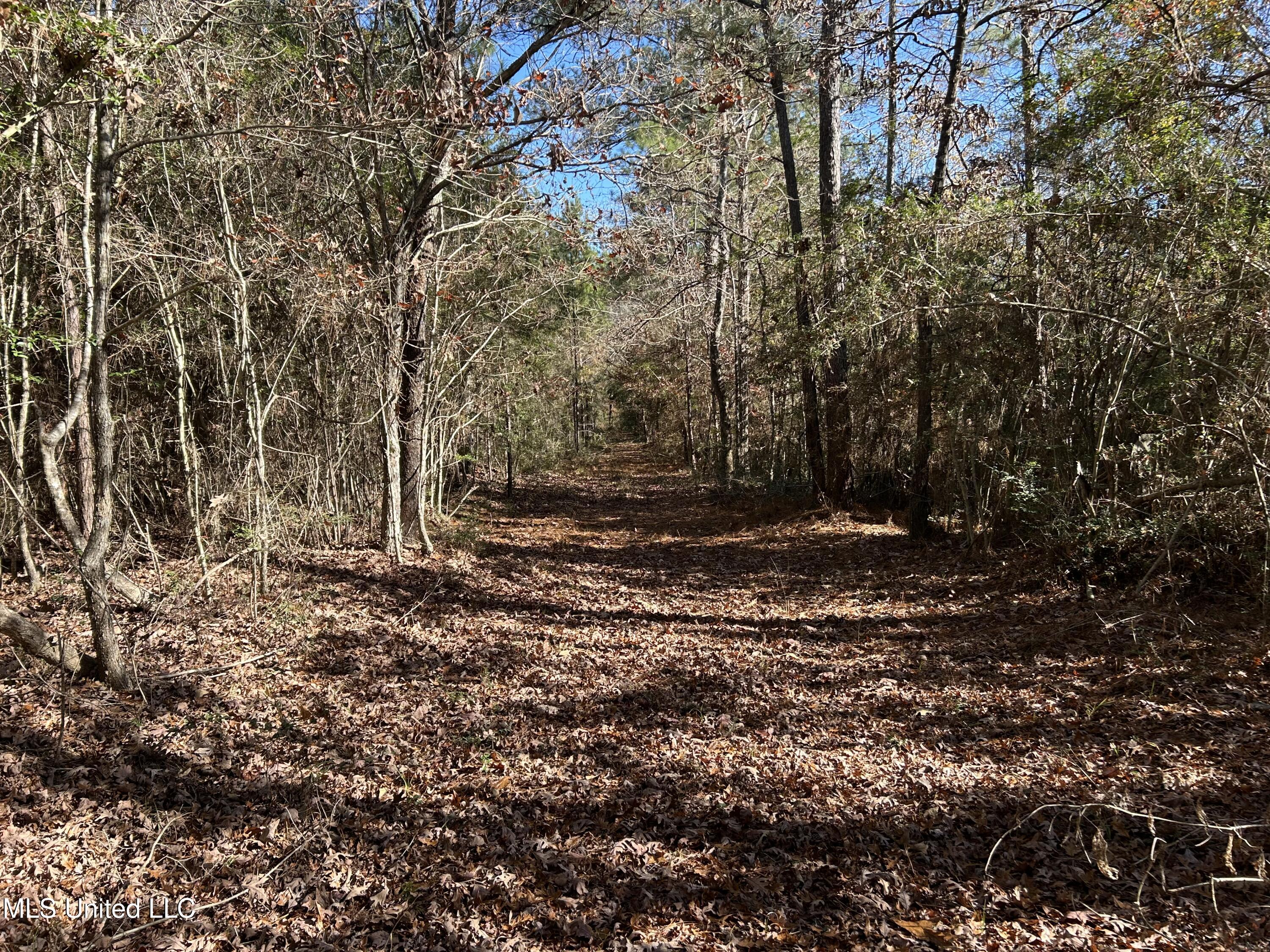 . Dwain Road Osyka, MS 39657 - Photo 22 of 31 IMG_1466