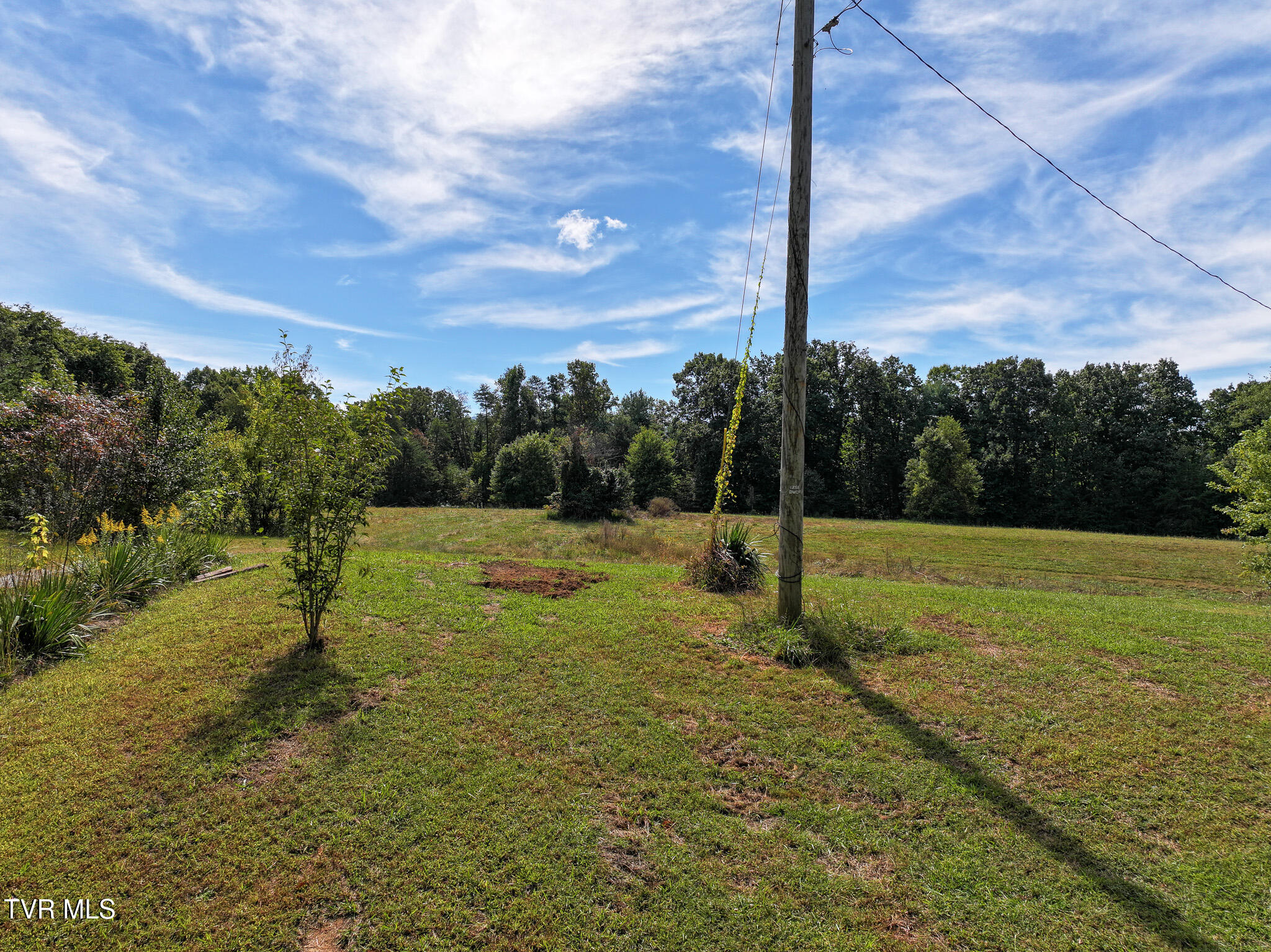 250 Bill Martin Road Afton, TN 37616 - Photo 9 of 23 9
