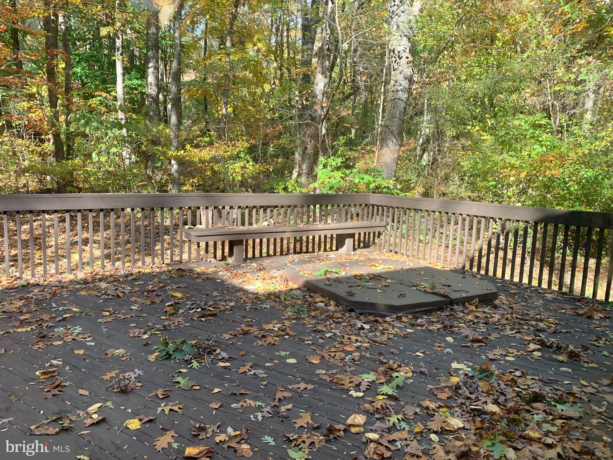 2062 Quarry Road Quakertown, PA 18951 - Photo 42 of 44 SUNKEN HOT TUB