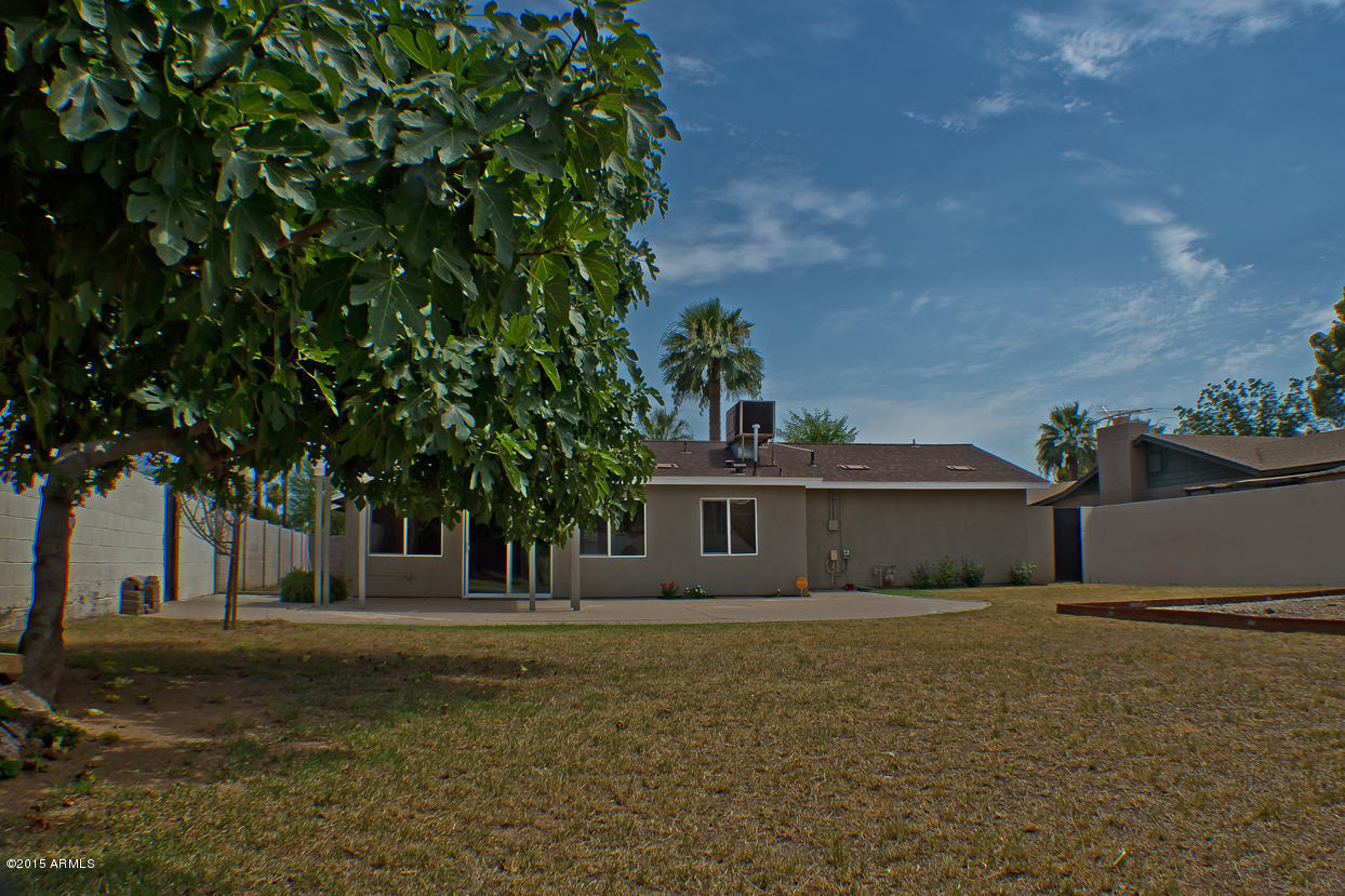 740 West Tuckey Lane Phoenix, AZ 85013 - Photo 22 of 28 24