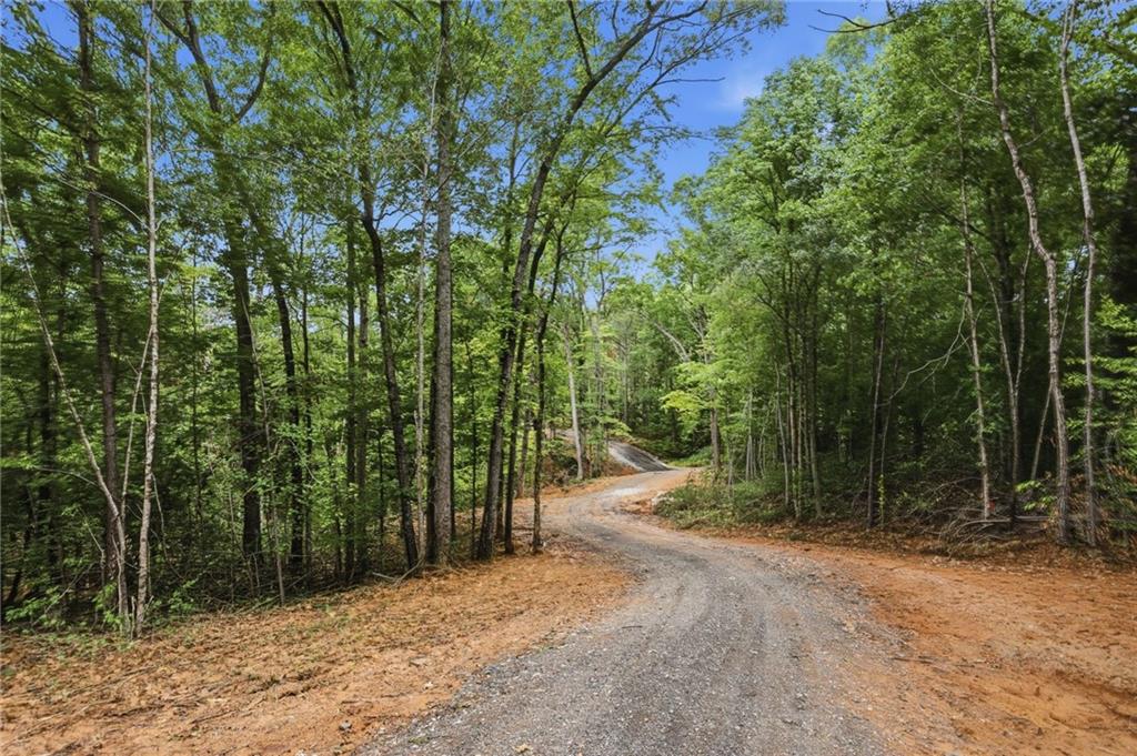 Lot 1 Pete Path Dallas, GA 30157 - Photo 12 of 21