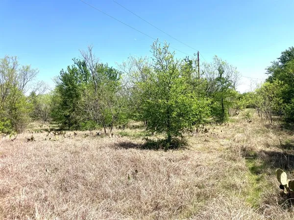 a view of a yard with a tree