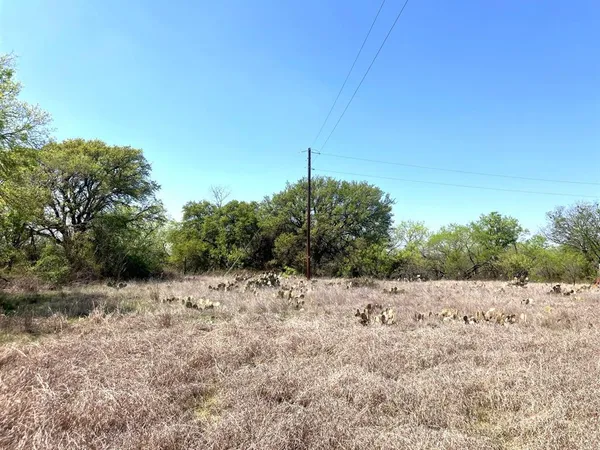 a view of a dry field with trees in the background