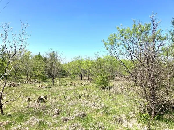 a view of a yard with an trees