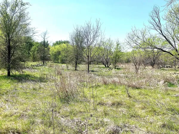 a view of yard with green space and trees