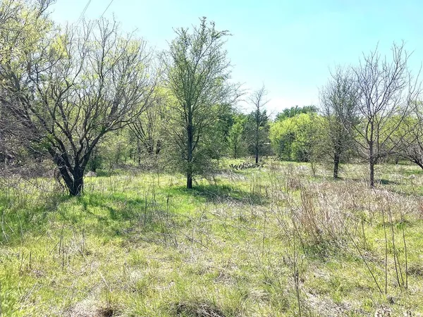 a view of backyard with green space