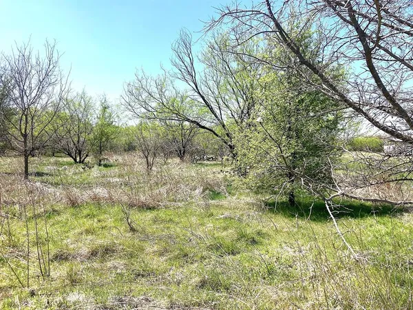 a view of outdoor space