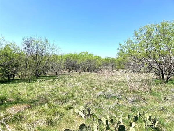 a view of a yard with an trees