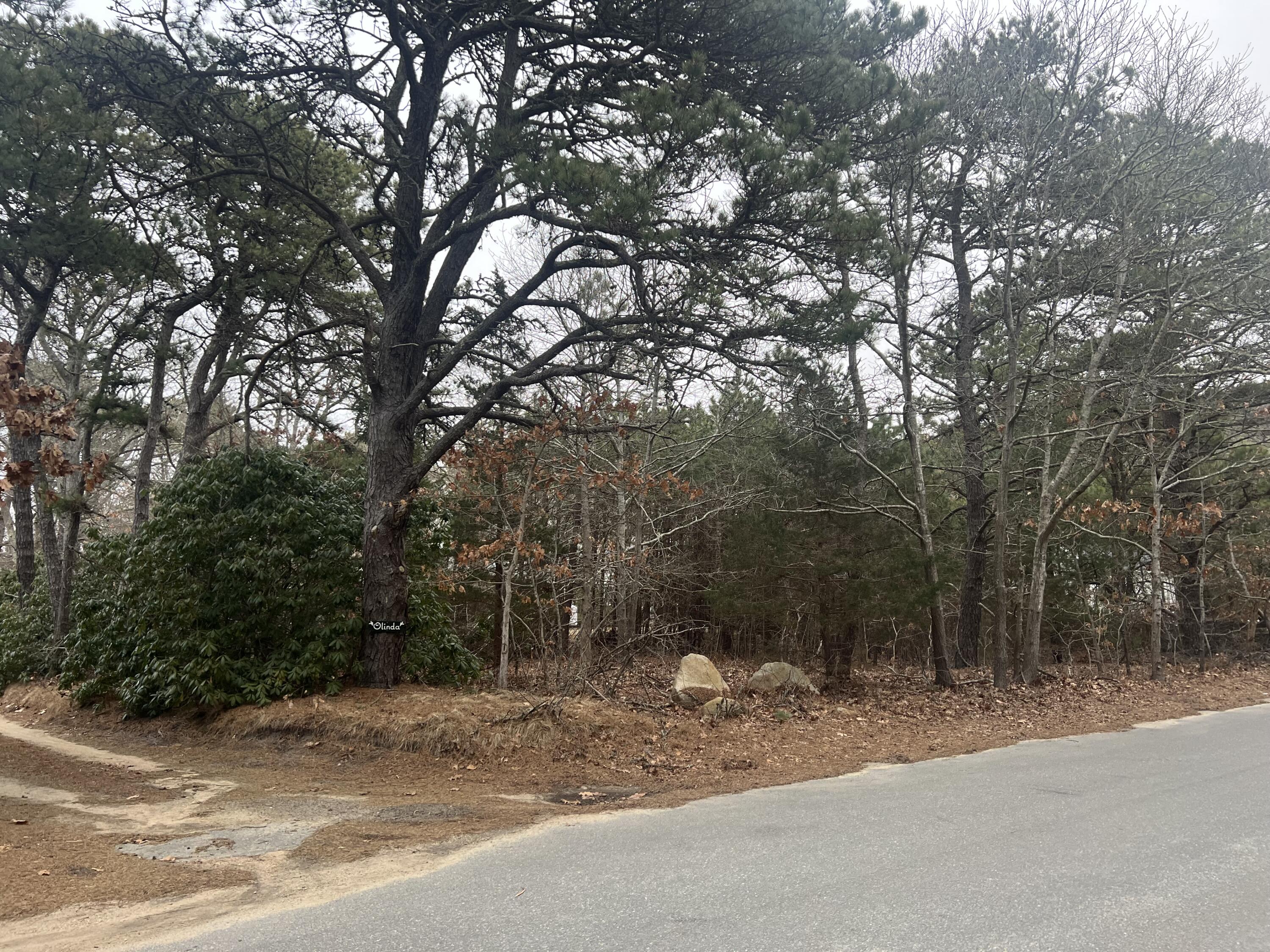 0 Worcester Avenue Oak Bluffs, MA 02557 - Photo 6 of 8 IMG_2748