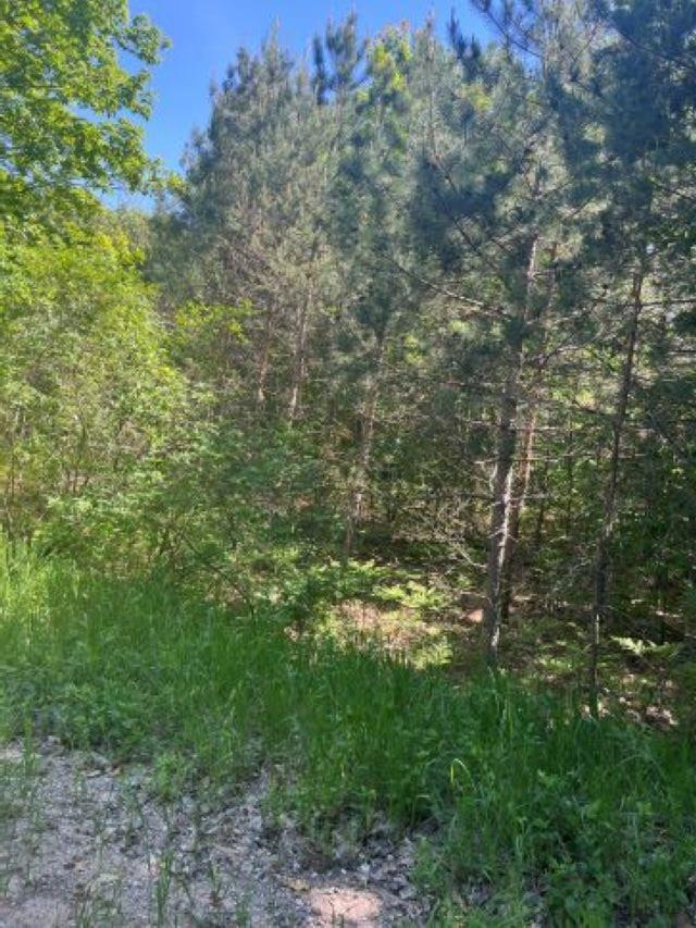 Parcel B North Parcel B N 45th Road Manton, MI 49663 - Photo 3 of 8
