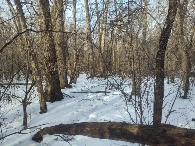 $79,900 | Lt11 109th Street, Trevor, WI 53179