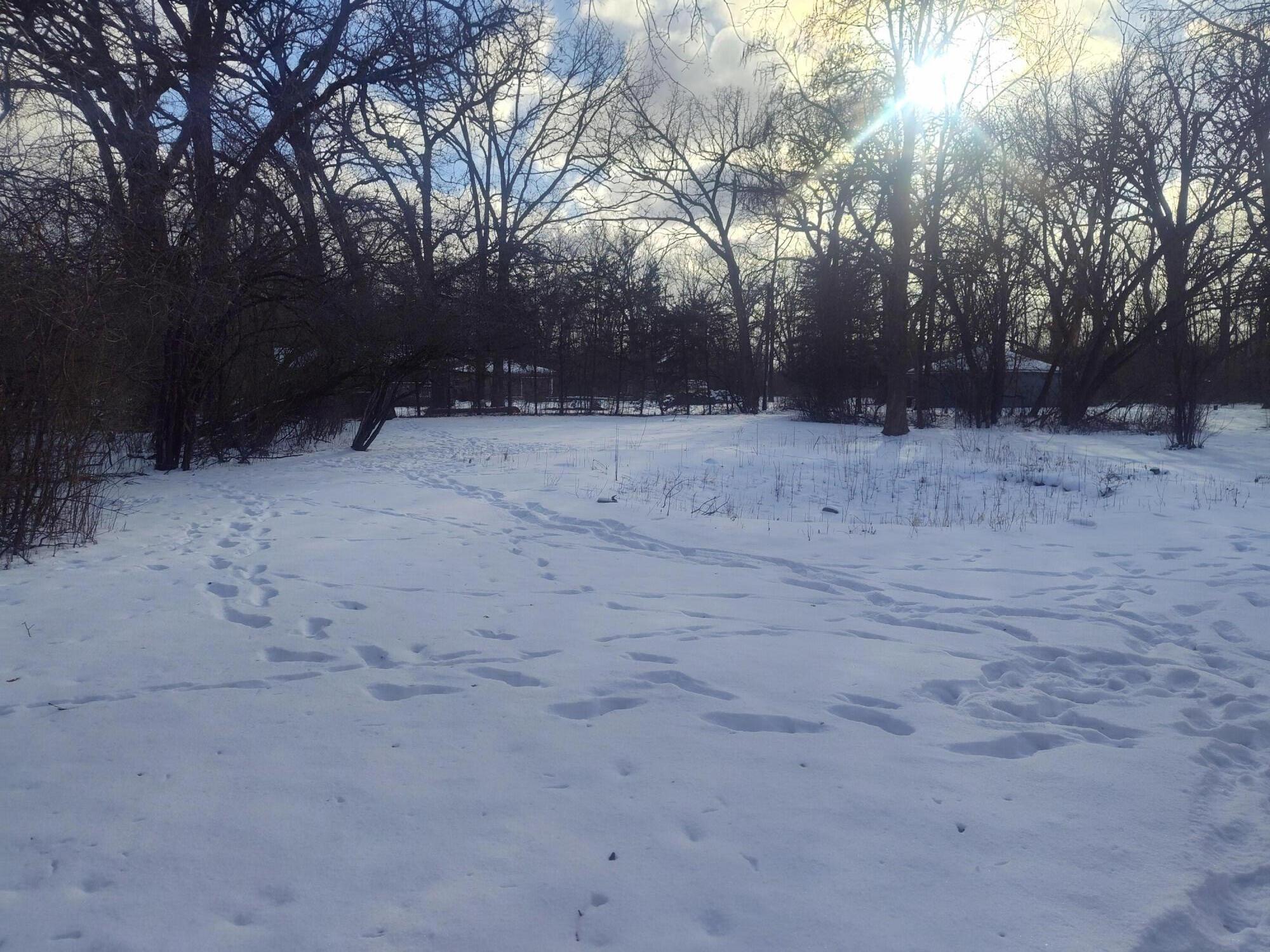 Lot 11 109th Street Trevor, WI 53179 - Photo 14 of 16 1000012394