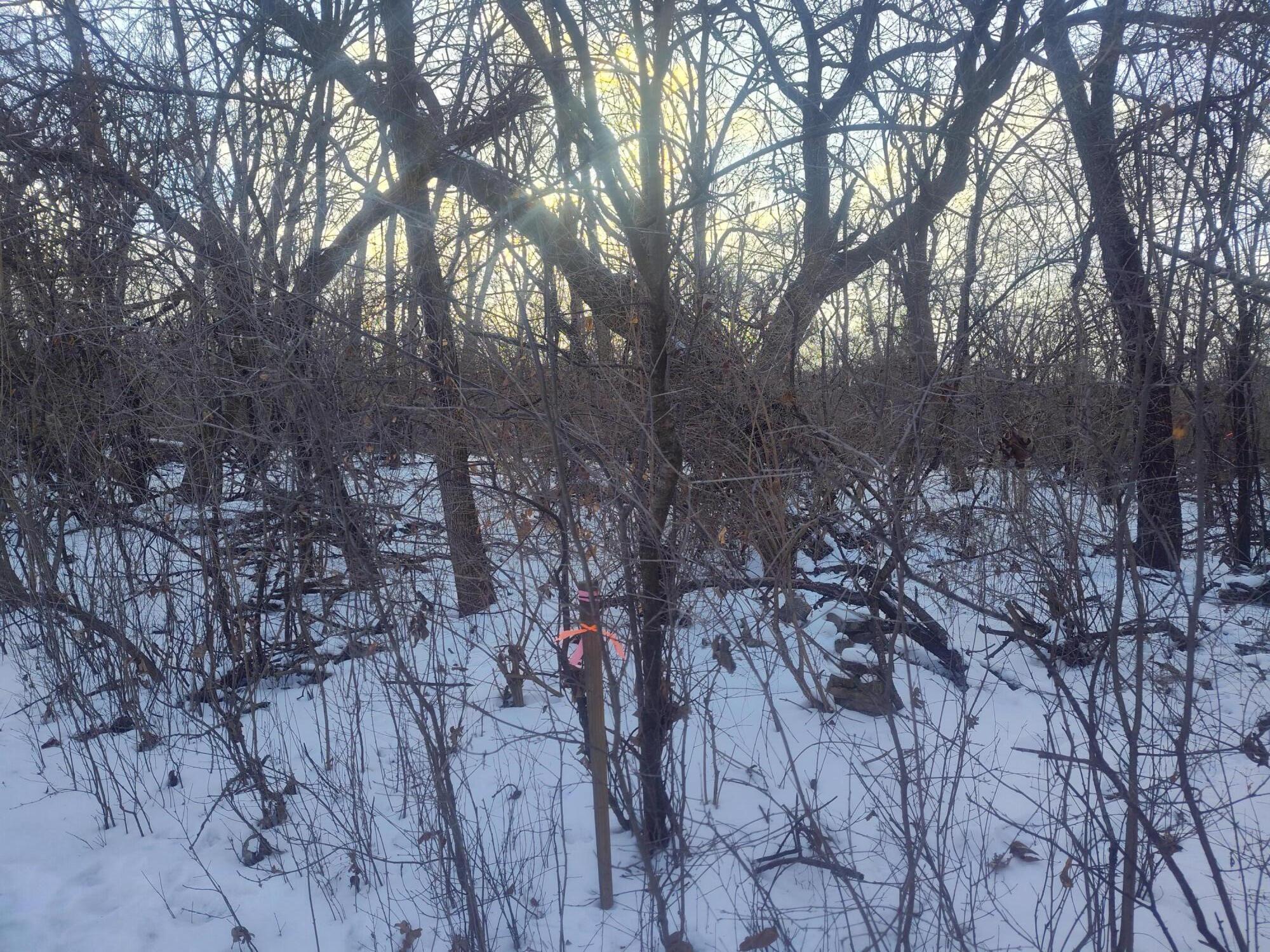 Lot 11 109th Street Trevor, WI 53179 - Photo 15 of 16 1000012396 (1)