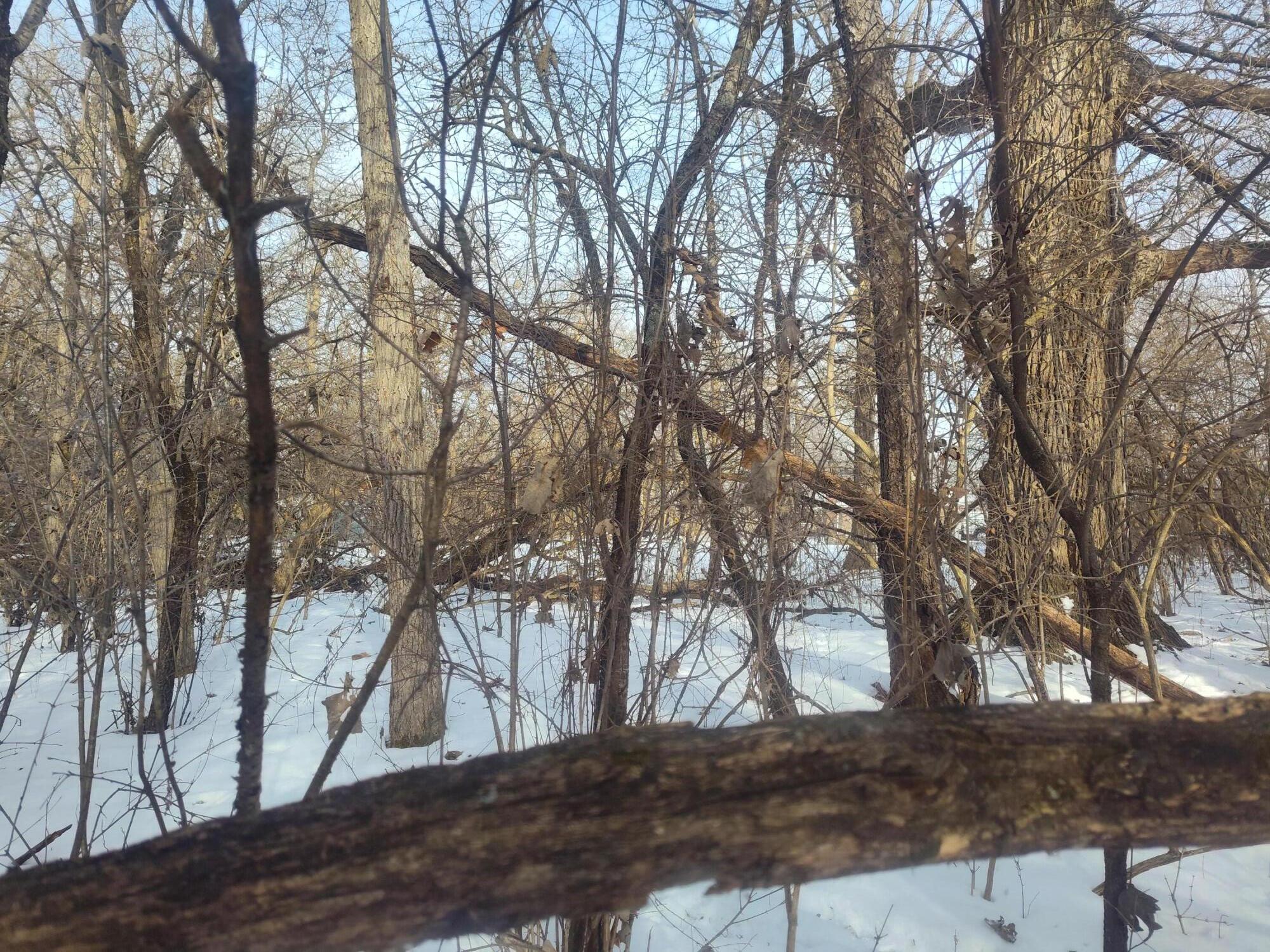 Lot 11 109th Street Trevor, WI 53179 - Photo 3 of 16 1000012403