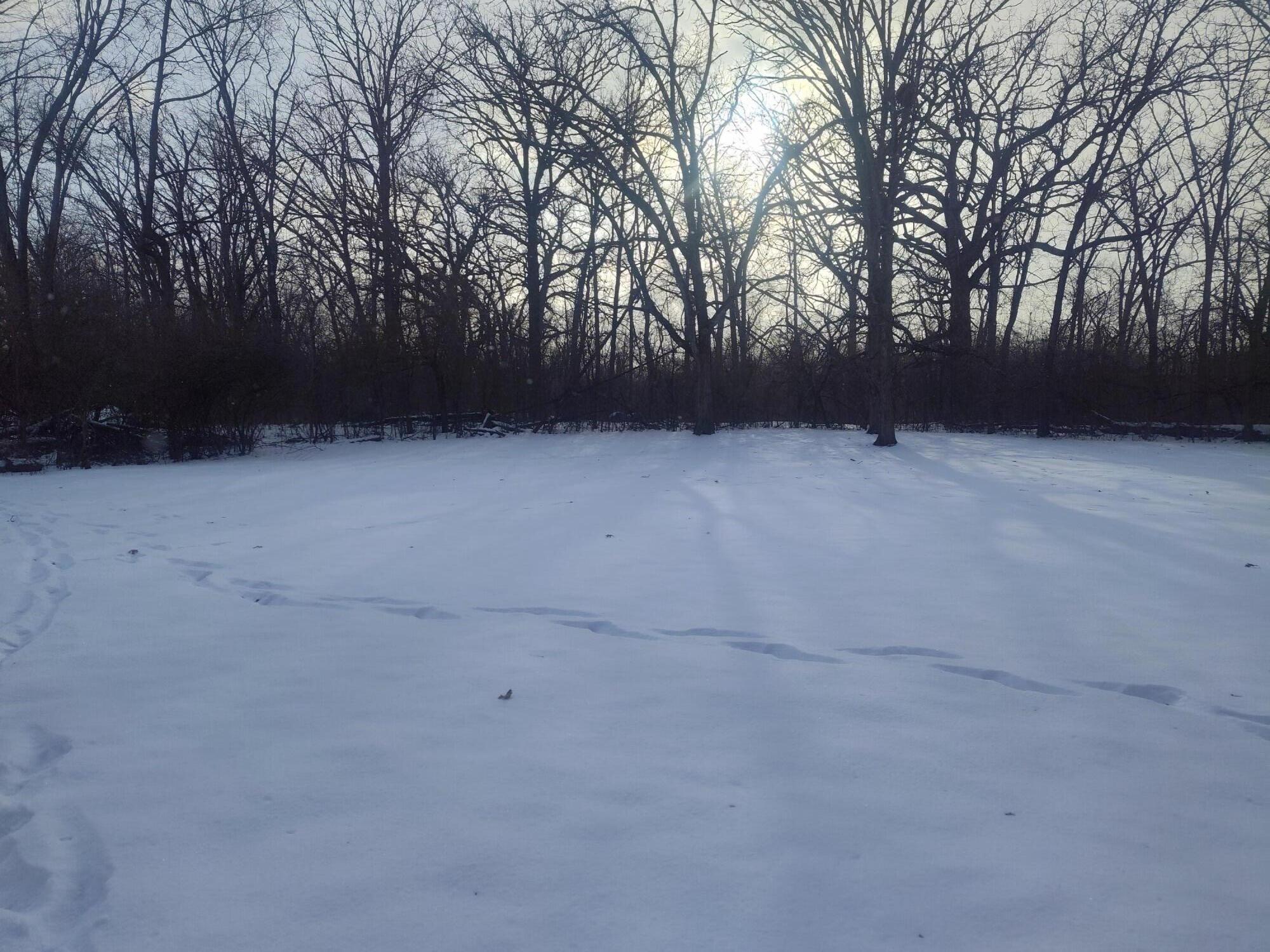 Lot 11 109th Street Trevor, WI 53179 - Photo 7 of 16 1000012410 (1)