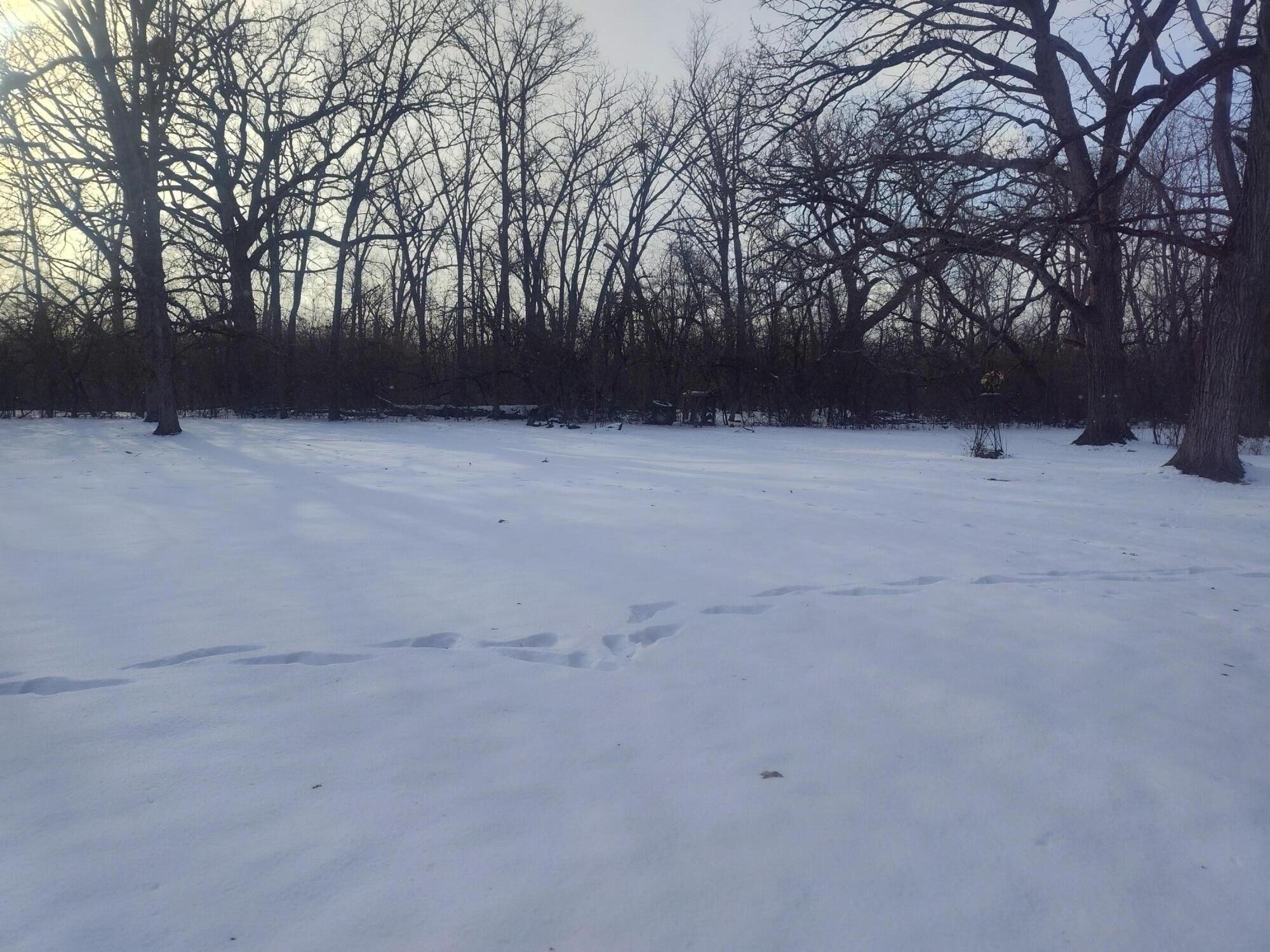 Lot 11 109th Street Trevor, WI 53179 - Photo 8 of 16 1000012411 (1)