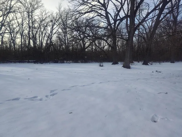 $79,900 | Lt11 109th Street, Trevor, WI 53179