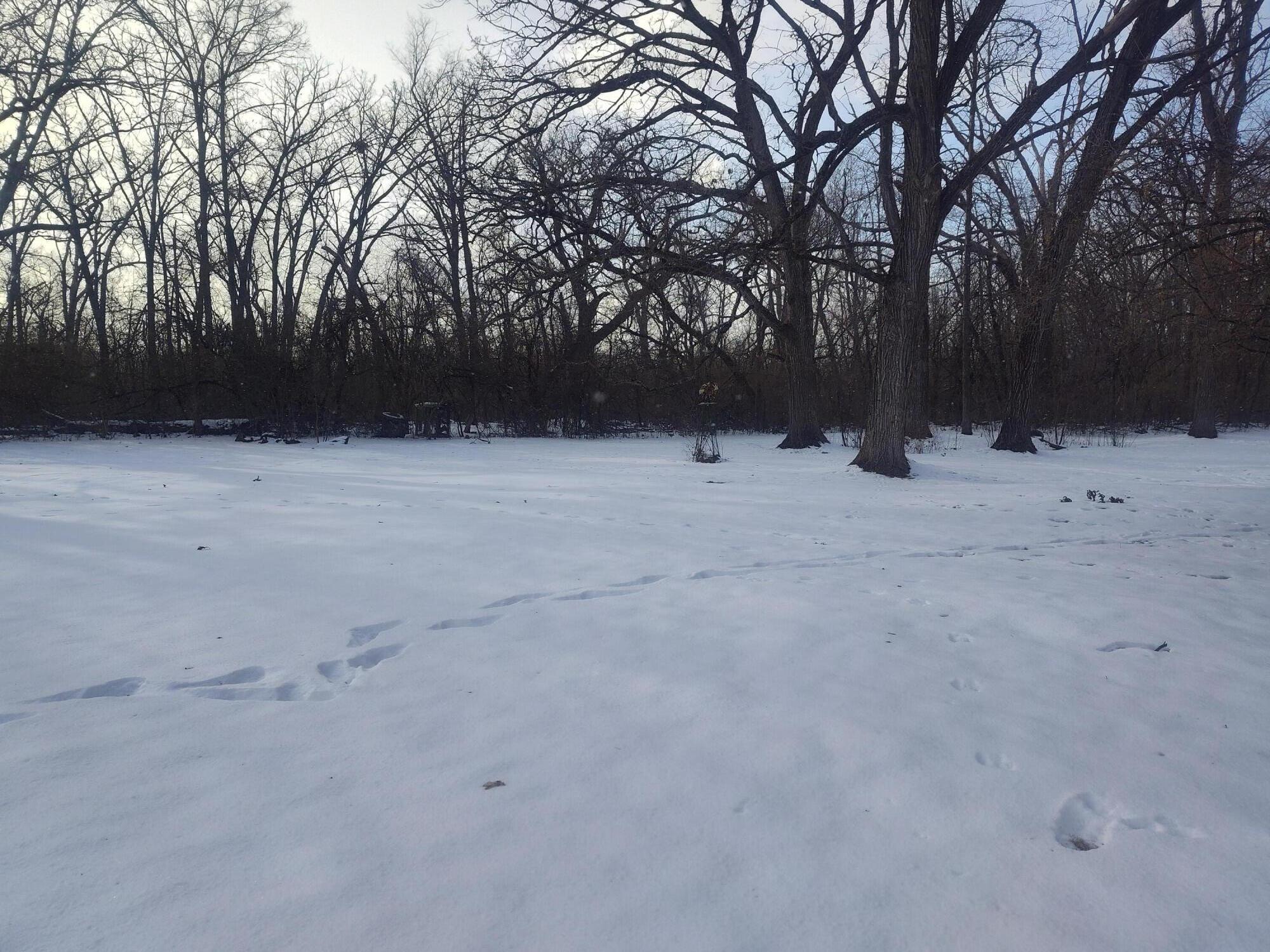 Lot 11 109th Street Trevor, WI 53179 - Photo 9 of 16 1000012412 (1)