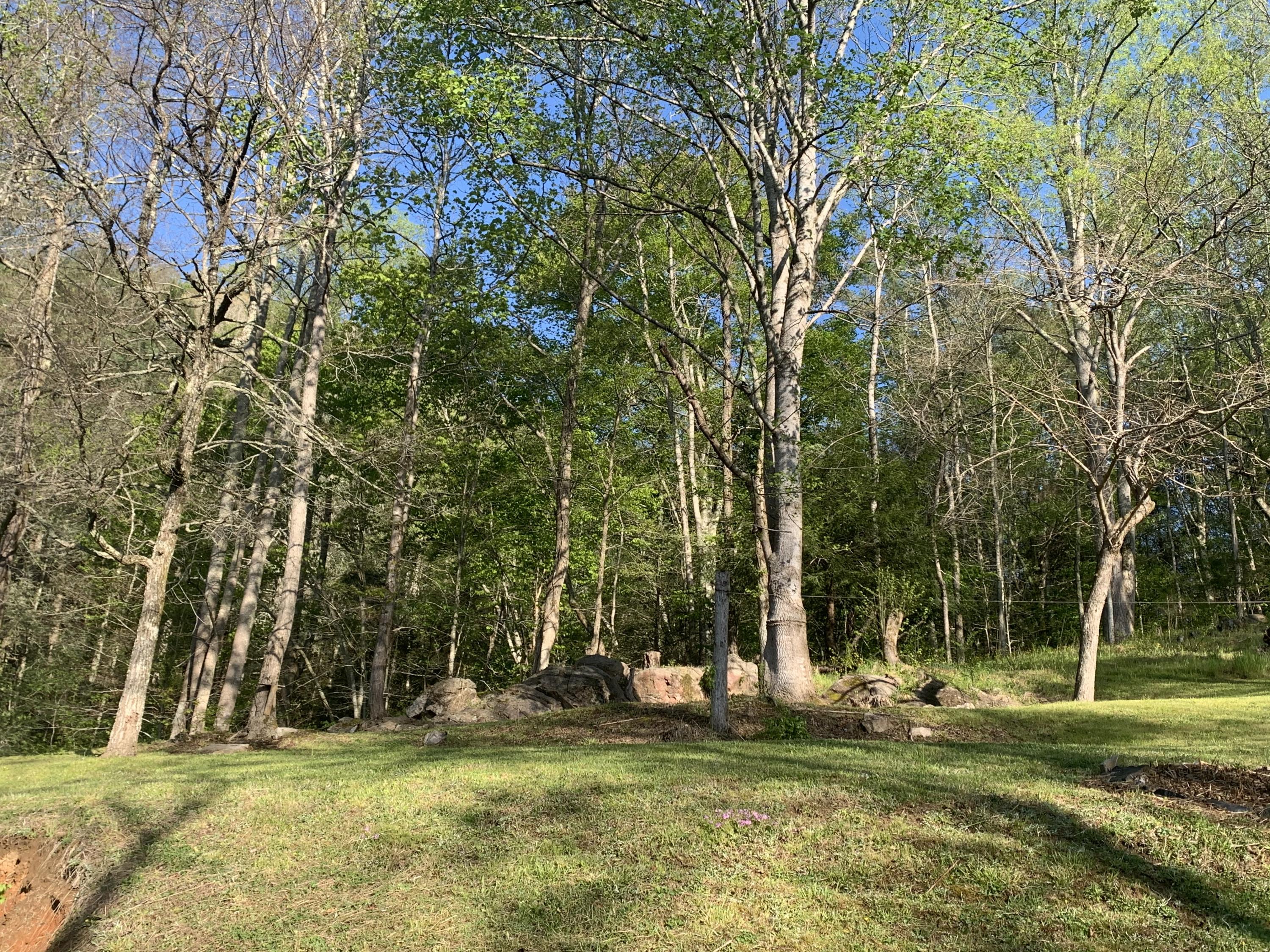 221 Bumpus Cove Road Erwin, TN 37650 - Photo 11 of 27 0EE2DD99-2463-45B5-A8B9-CC0083DCF4C4