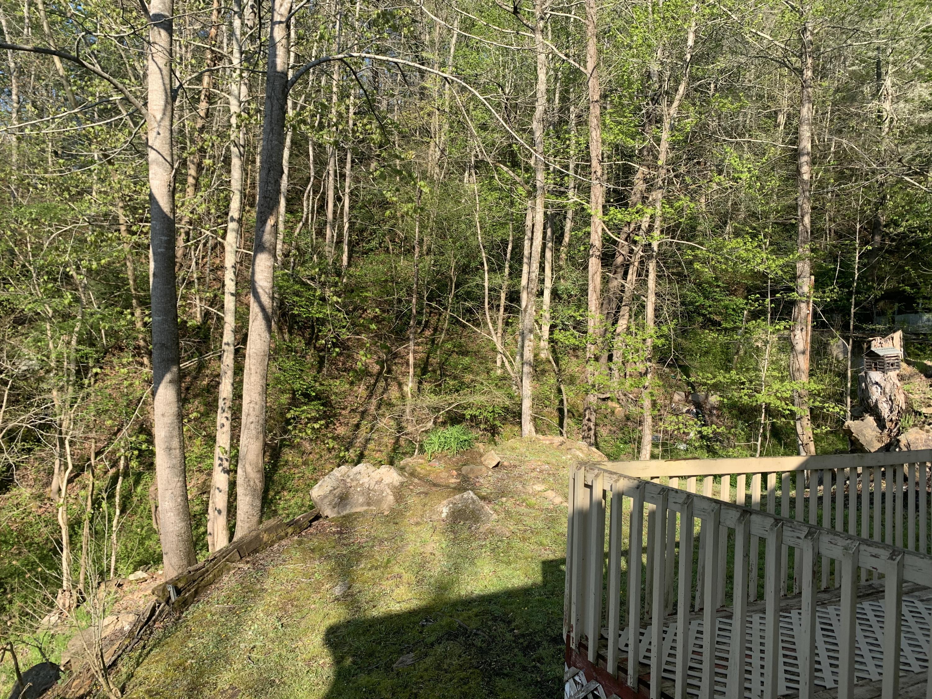 221 Bumpus Cove Road Erwin, TN 37650 - Photo 25 of 27 52C9F58D-DF61-48B8-B295-95C34B40BF52