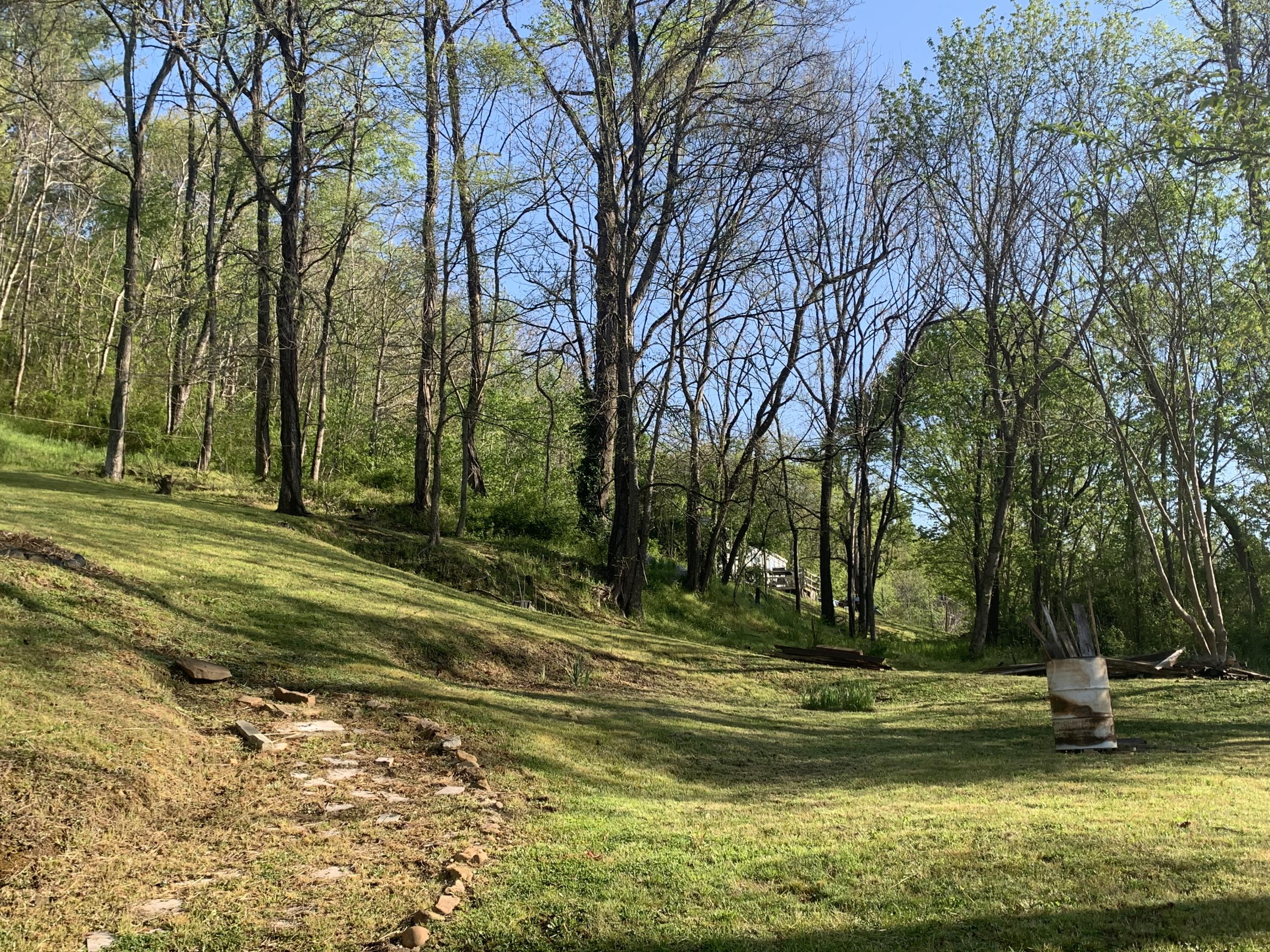 221 Bumpus Cove Road Erwin, TN 37650 - Photo 7 of 27 B10CDF28-638D-4A32-B44C-0406580A77C0