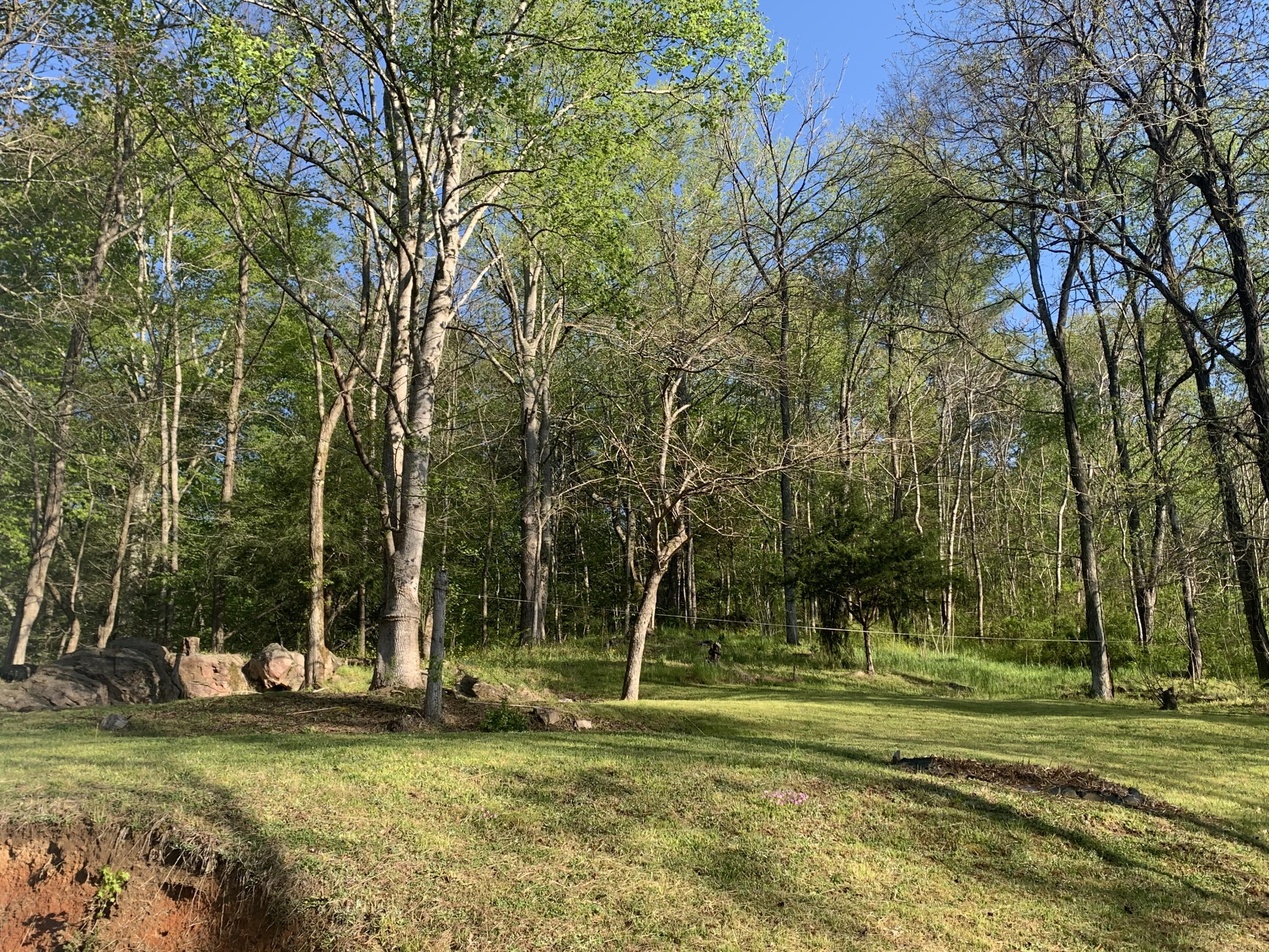 221 Bumpus Cove Road Erwin, TN 37650 - Photo 8 of 27 DE4A7918-3BFF-4920-86F7-5E358BAB44F2