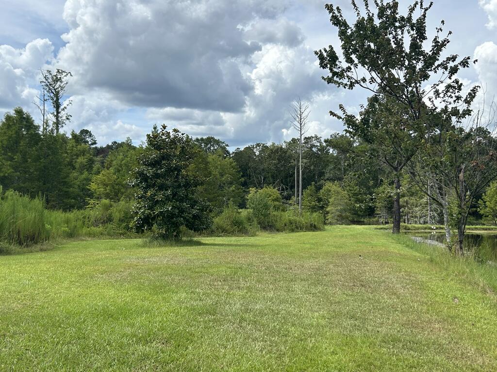 997 Glen Lawrence Road Dothan, AL 36303 - Photo 8 of 26 Gallery Image 8