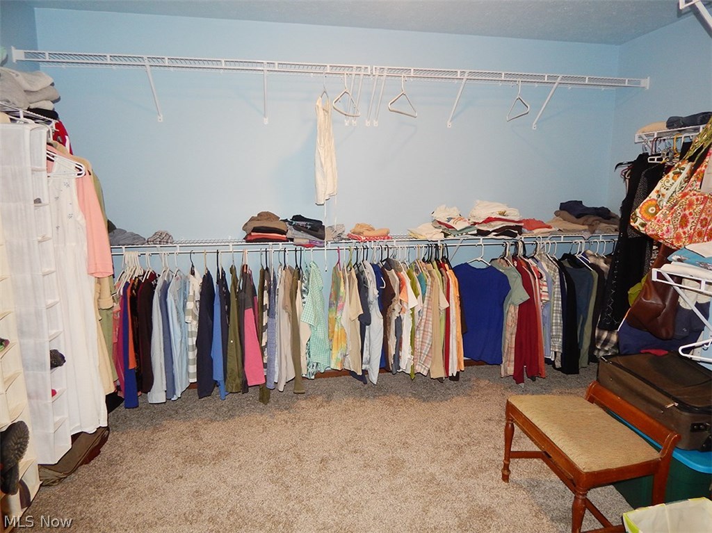 10337 Jones Road Litchfield, OH 44253 - Photo 16 of 33 Gallery Image 16