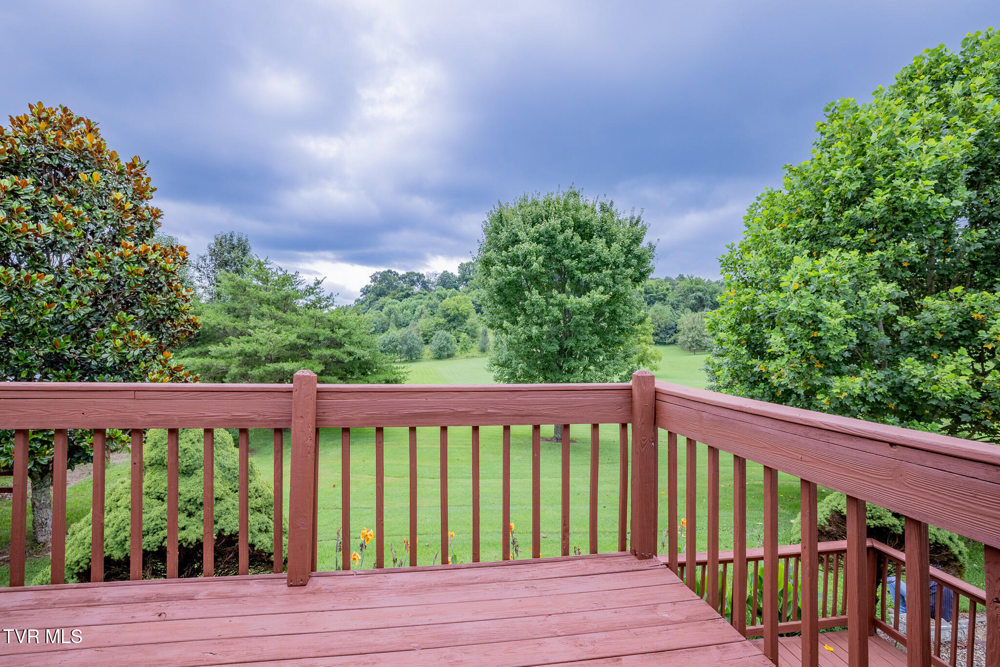 1520 Ripley Island Road Afton, TN 37616 - Photo 22 of 34 1R9A9908-HDR