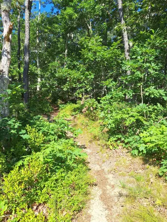 $390,000 | 49 Oak Valley Road, Wellfleet, MA 02667