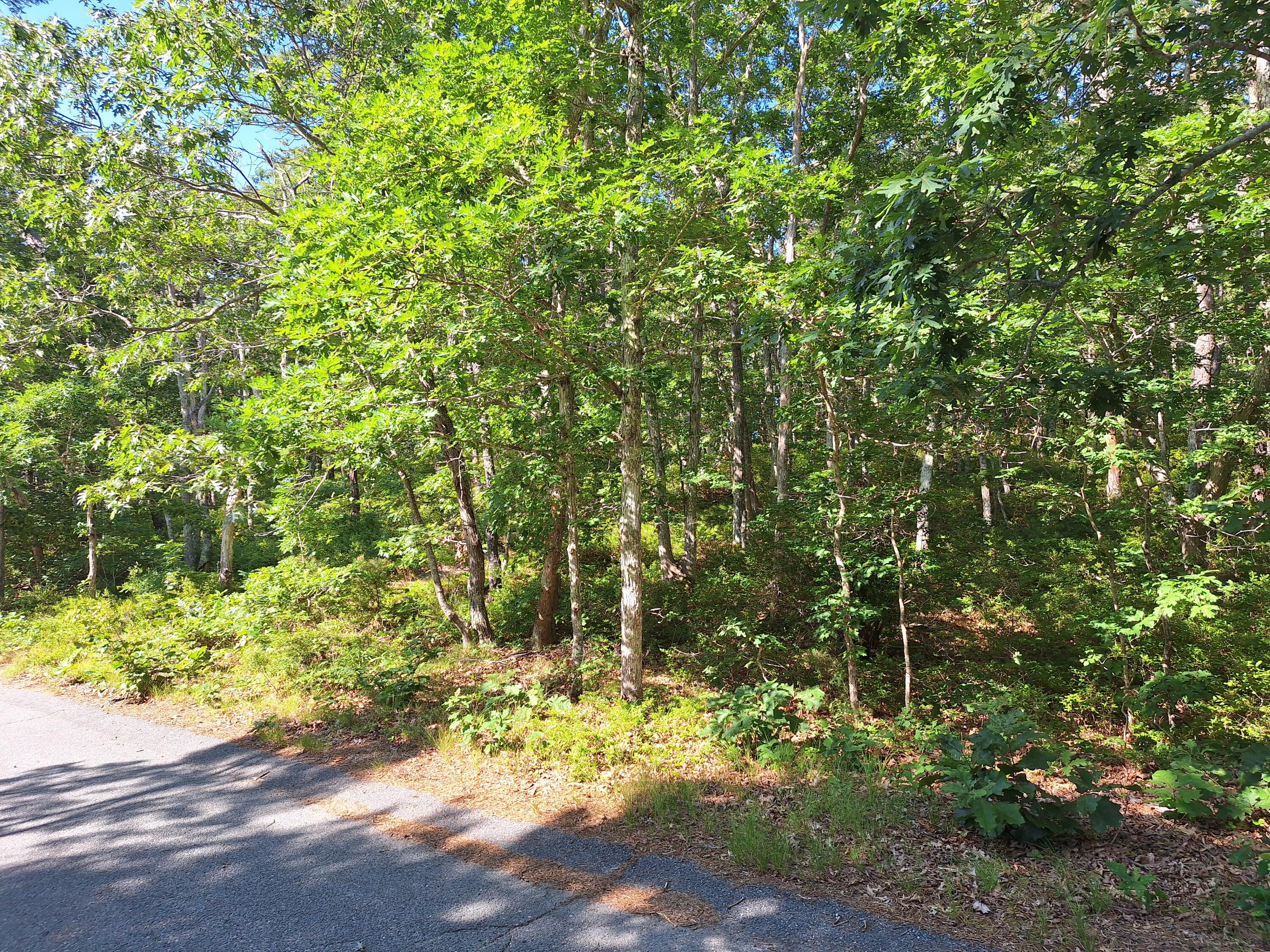 49 Oak Valley Road Wellfleet, MA 02667 - Photo 4 of 6 20250724_092401