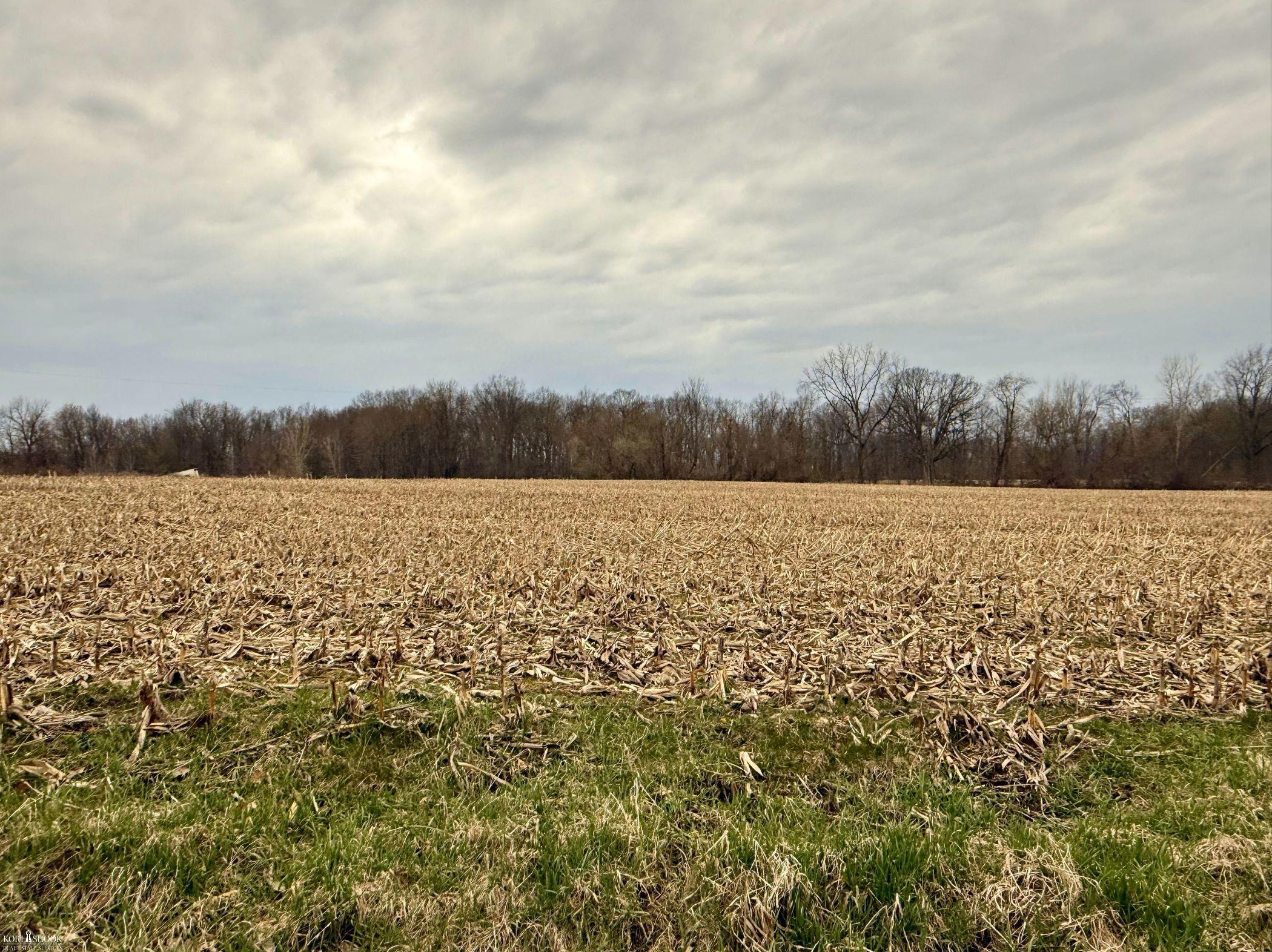 V/l B-5 V/l B-5 Cork Road Bancroft, MI 48414 - Photo 1 of 1