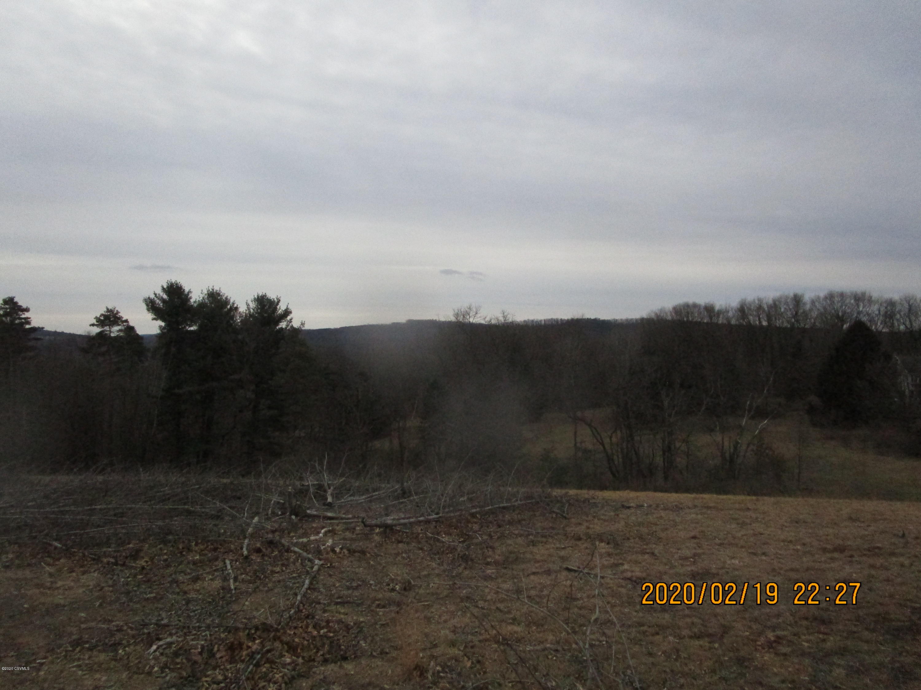 Locust Road Paxinos, PA 17860 - Photo 1 of 3 Gallery Image 1