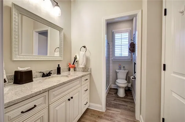 a bathroom with a toilet a sink and a mirror