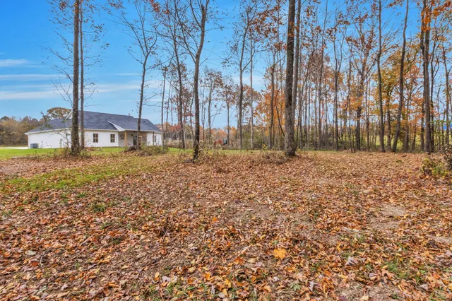 a view of a yard with a house in the background