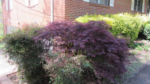 923 West Crest Road Chattanooga, TN 37404 - Photo 24 of 26 IMG_3455