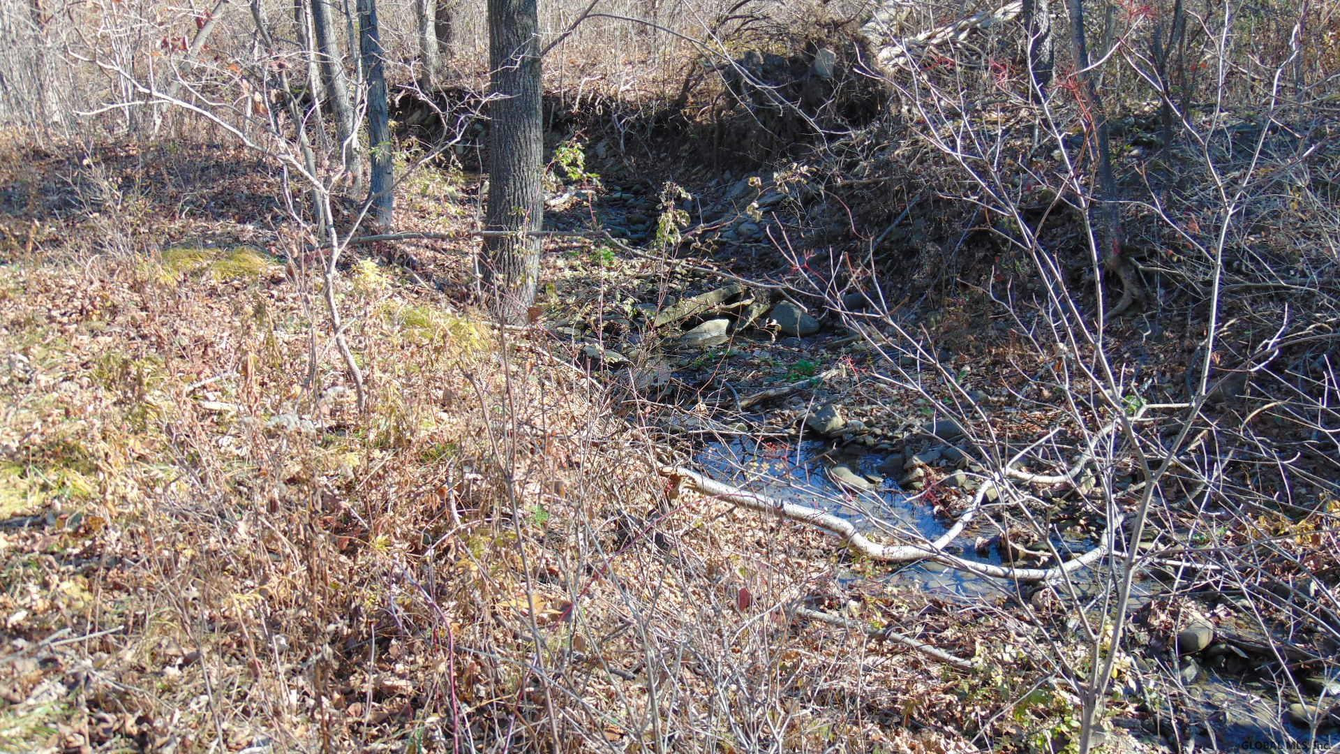 3906 County Rt 7 Howes Cave, NY 12092 - Photo 23 of 29 Photo 23