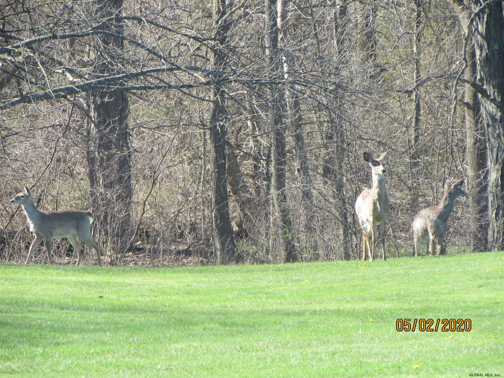 3906 County Rt 7 Howes Cave, NY 12092 - Photo 24 of 29 Photo 24
