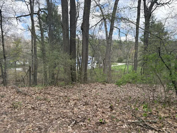 $25,000 | 8091 Poplar Drive, Reading, MI 49274