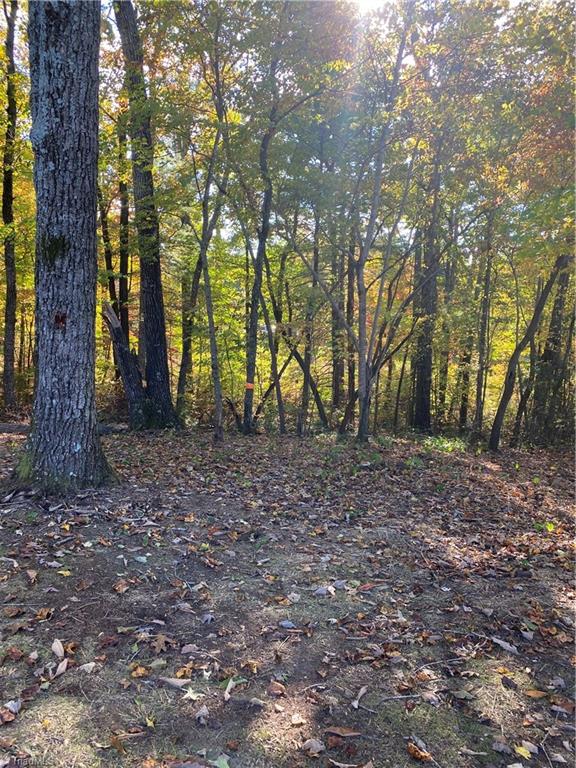 145 Oak Ridge Circle Mount Airy, NC 27030 - Photo 9 of 31 Gallery Image 9