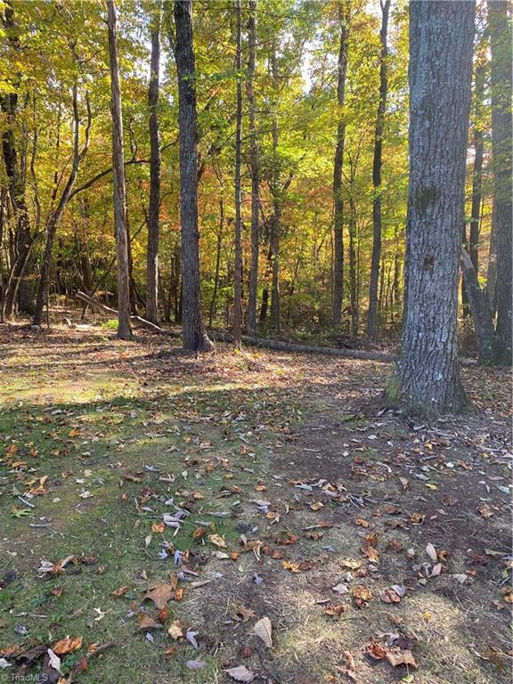 145 Oak Ridge Circle Mount Airy, NC 27030 - Photo 10 of 31 Gallery Image 10